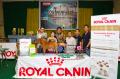 Palembang Dogshow All Breed 2014