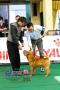 Klik untuk perbesar