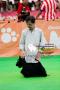 Jogja Dogshow 2014
