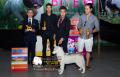The Winner @Jogja Dogshow 2014