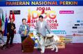 Klik untuk perbesar