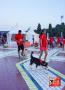 Alpo Dog Run @Parkir TImur Senayan
