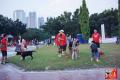 Alpo Dog Run @Parkir TImur Senayan
