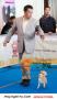 Klik untuk perbesar