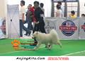 Klik untuk perbesar
