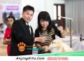 Klik untuk perbesar