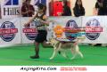 Klik untuk perbesar