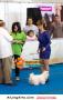 Klik untuk perbesar