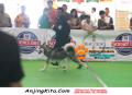 Klik untuk perbesar