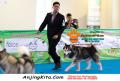 Klik untuk perbesar