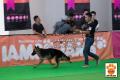 Klik untuk perbesar