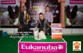Klik untuk perbesar