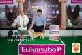 Klik untuk perbesar