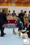 The Great Jakarta Dog Show PERKIN JAYA 2014