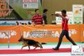 The Great Jakarta Dog Show PERKIN JAYA 2014