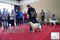 Klik untuk perbesar