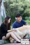 Me & My Dogs | Fun Dog Lovers Gathering