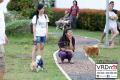 Me & My Dogs | Fun Dog Lovers Gathering