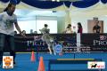Klik untuk perbesar
