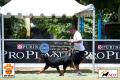 PERKIN Jatim CACIB - CAC International Dog Show 20 & 21 Sep 2014