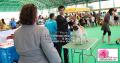 Klik untuk perbesar