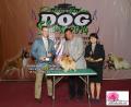 The Winner @PERKIN Jabar Dogshow 2014