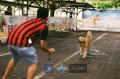 Klik untuk perbesar