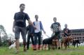 Klik untuk perbesar