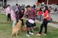 Klik untuk perbesar