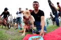 Klik untuk perbesar