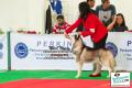 Pekanbaru Dogs Day 2014
