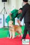 Pekanbaru Dogs Day 2014