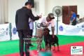 Pekanbaru Dogs Day 2014