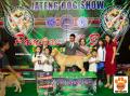 The Winner at JATENG Dog Show 2014