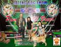 The Winner at JATENG Dog Show 2014