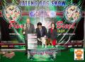 The Winner at JATENG Dog Show 2014