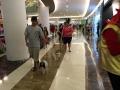 Klik untuk perbesar