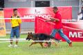 Klik untuk perbesar