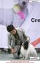 MKA International Dog Show March 13-15, 2015.