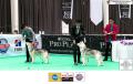The 1st Jakarta Dog Show 2015. 21-22 Maret 2015