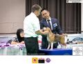 The 1st Jakarta Dog Show 2015. 21-22 Maret 2015