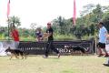 Pameran Anjing Herder Jateng & DIY