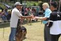 Pameran Anjing Herder Jateng & DIY