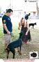 Klik untuk perbesar