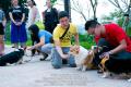 KIRA 3rd Birthday Party - Corgi Gathering @ The Breeze BSD City