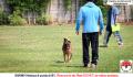 Klik untuk perbesar