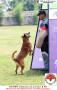 Klik untuk perbesar
