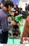 20150802 Pameran Nasional KBSI & IPC 2015 