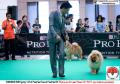 20150802 Pameran Nasional KBSI & IPC 2015 