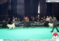 20150802 Pameran Nasional KBSI & IPC 2015 